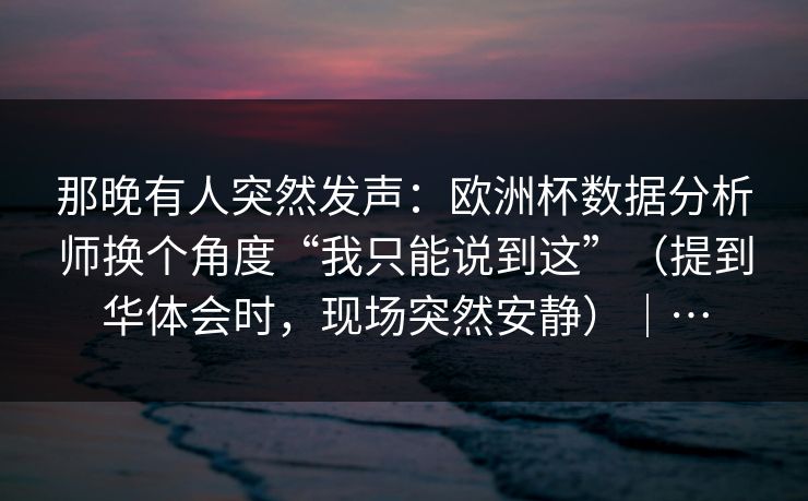 那晚有人突然发声：欧洲杯数据分析师换个角度“我只能说到这”（提到华体会时，现场突然安静）｜…