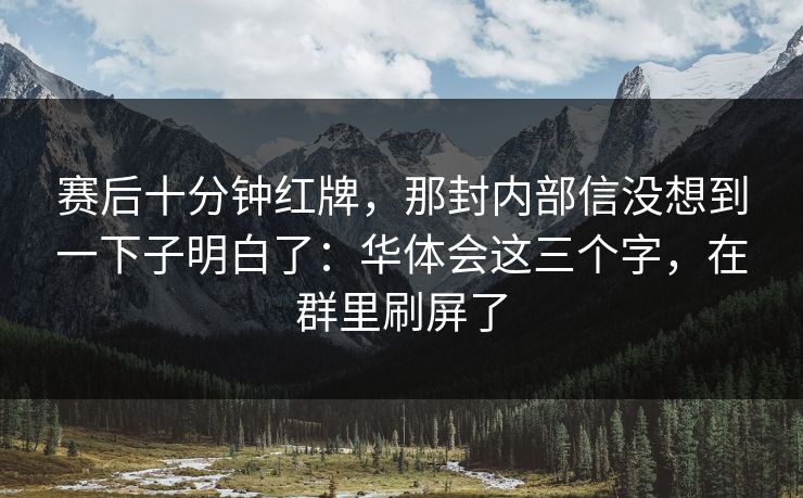 赛后十分钟红牌，那封内部信没想到一下子明白了：华体会这三个字，在群里刷屏了